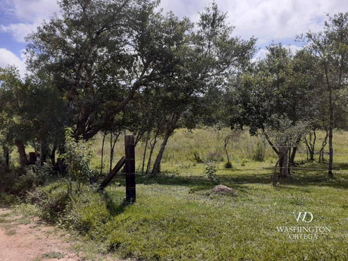 Imagem 17 de 21 de Chácara À Venda, 8500 M² Por R$ 260.000,00 - Zona Rural - São José Dos Pinhais/pr - Ch0060