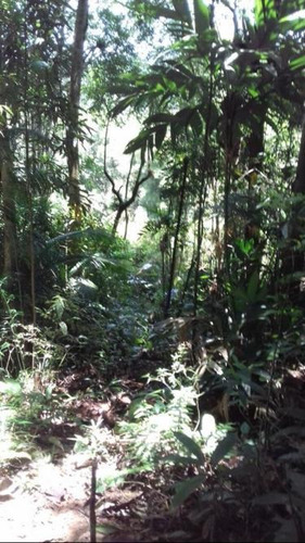 Imagem 9 de 14 de Juquitiba/belo Terreno P/criação/ac/permuta Sp/