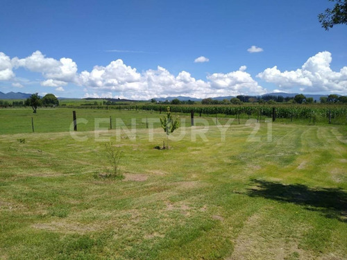 Imagen 2 de 5 de En Venta Lotes Campestres Cd. Guerrero Chihuahua.