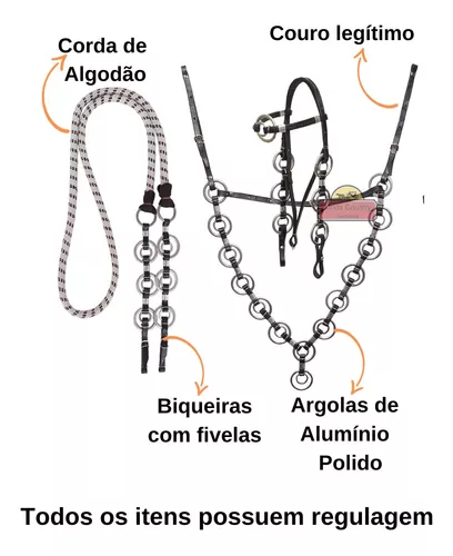 Rédea cabeçada e peiteira traia de frente cavalo crioulo em Brasil