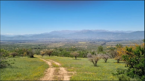 Sitio 16 En Proyecto Parque Quebrada Catapilco