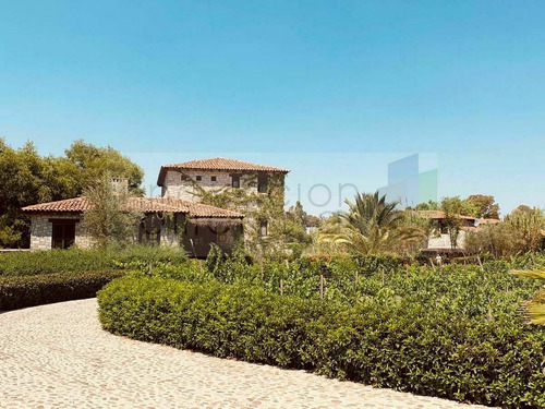 Imagen 3 de 24 de San Miguel De Allende, Terreno En Venta Dentro De Viñedo