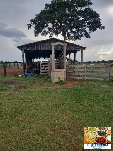 Imagem 13 de 15 de Fazenda À Venda Em Marianópolis - To - De 429 Alqueirão (dupla Aptidão) - 1682