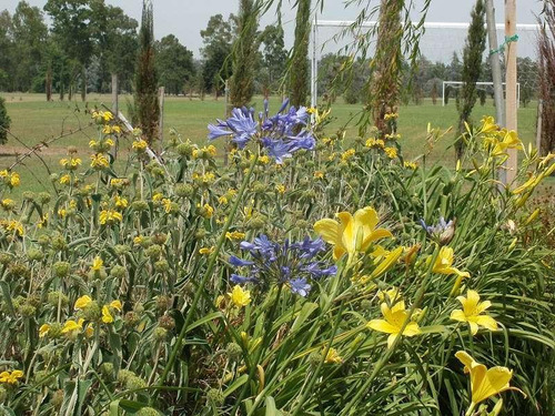 Lote Con Fondo A La Laguna En Club De Campo Santa Rita. Canning-san Vicente.