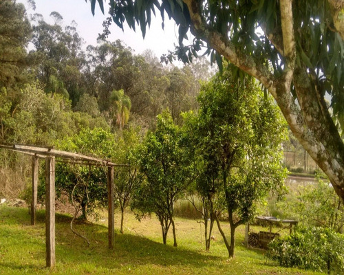 Chácara 5.000 M² - Lomba Grande - Novo Hamburgo - Rs - 1588 - 32420109