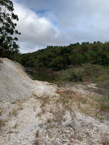 Fazenda De 30 Hectares Com 12 Plantados De Eucalipto