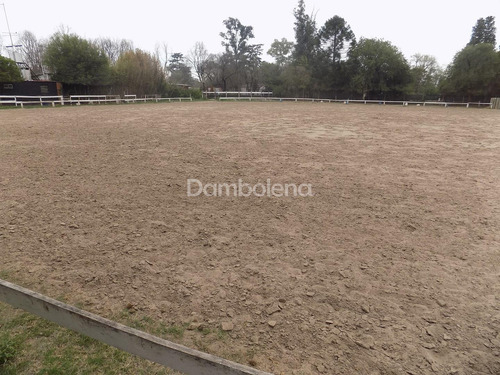 Hipico En Venta En Paso Del Rey, Moreno, G.b.a. Zona Oeste
