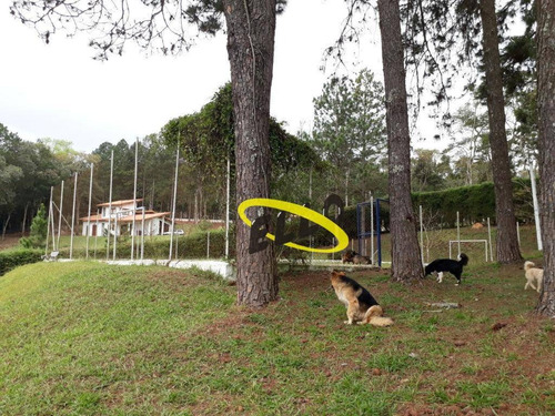 Chácara Com 3 Dormitórios À Venda, 7478 M² Por R$ 480.000,00 - Centro - Ibiúna/sp - Ch0022
