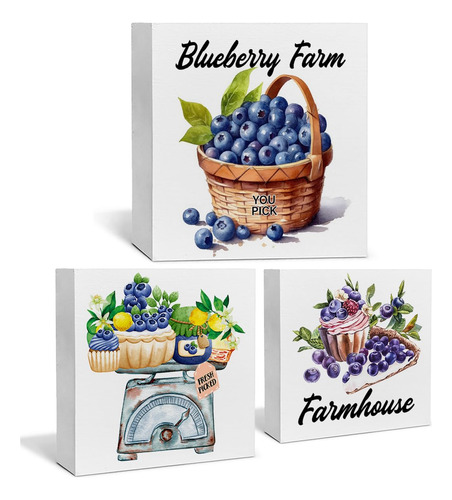 Decoracion Arandano Para Hogar Granja Fruta Bandeja 3 Pieza