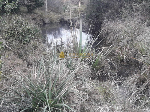Campo 7 Has En Garzon - Consulte!!!!!!!!- Ref: 2110