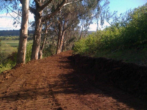 Imagen 3 de 4 de Se Vende Terreno Con Proyecto Habitacional
