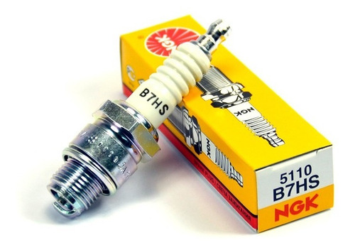 Bujia Ngk B8hs-10 Yamaha Suzuki Motor Fuera De Borda Ngk