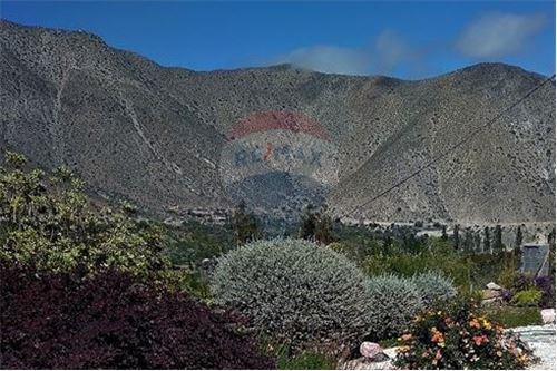 Campo En Venta - Colliguay- Iv Region-paltas