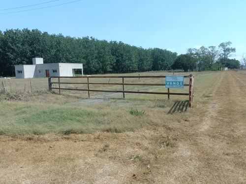 Terrenos En Venta En Zona Rural Partido De Chascomús.