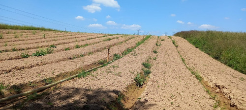 Imagem 7 de 21 de 03o-terreno Com 10mil De Entrada