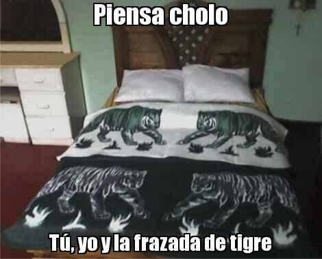 Cobija Tradicional Cuatro Tigres Cama Doble 180*220