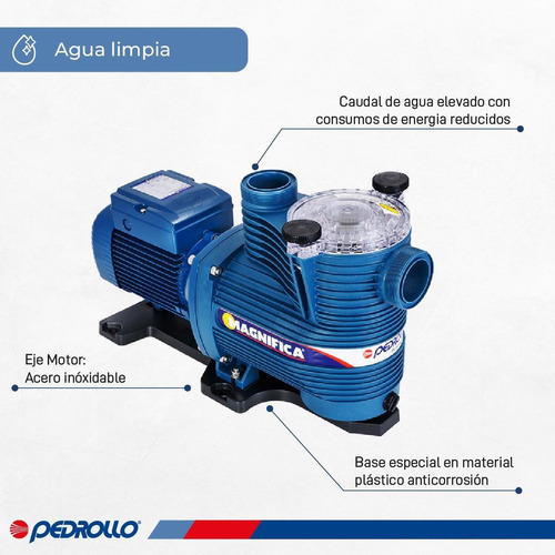 Bomba Autocebante Piscina Pedrollo Magnifica 2m. 1 Hp