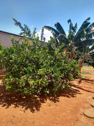 Chácara Para Venda Em Paulínia, Area Rural, 5 Dormitórios, 2 Suítes, 3 Banheiros, 10 Vagas - In010pg_2-1135933