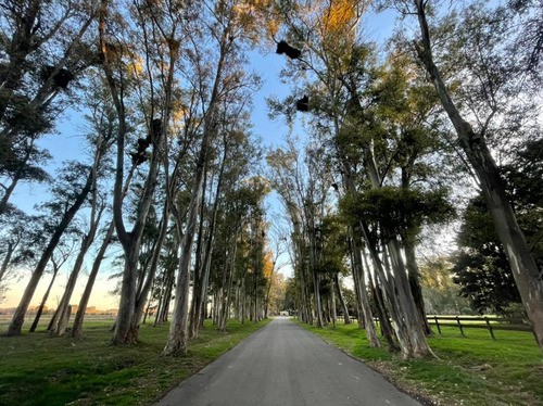 Imagen 5 de 12 de Lote En Venta En Haras San Pablo