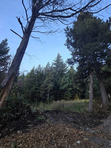 Lote En Venta Bariloche