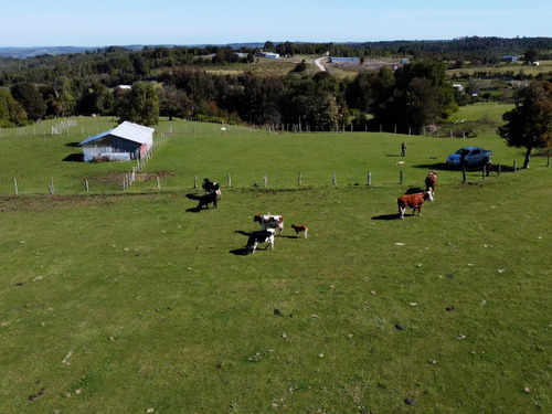 Campo En Venta Con Casa En Fresia De 19,43 Hectáreas