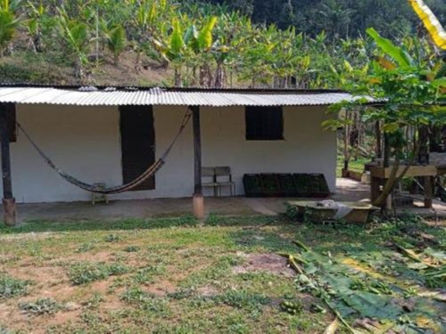 Imagem 2 de 17 de Chácara Com Riacho, Pomares De Arvores Frutíferas E Pés De Banana E Com Com 171.500 M² De Área Total, Em Miracatu Ref: 8564/ac