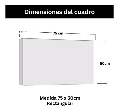 Set Tres Cuadros Personalizados Canvas Dos 75x50 Y Uno 50x35 Personalizado