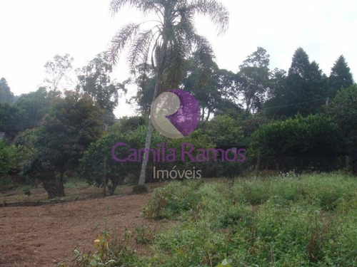 Imagem 11 de 16 de Chácara Residencial À Venda, Jardim Campestre, Suzano. - Ch0026 - 68322234