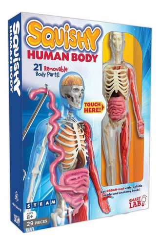 Kit De Ciencias Cuerpo Humano Blando De Smartlab Toys Ktc