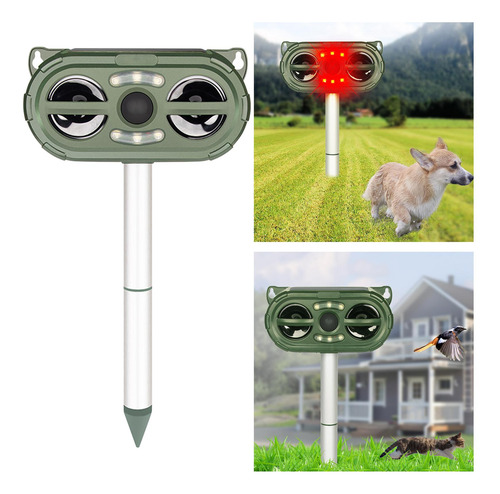 De Animales, De Solares, De Pájaros Y