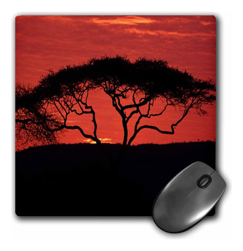 Mouse Pad 3drose Llc De 8 X 8 X 0,25 Pulgadas, Co