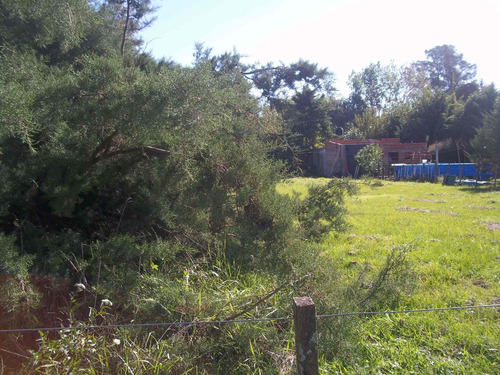 Imagen 10 de 13 de Lote En San Miguel Del Monte