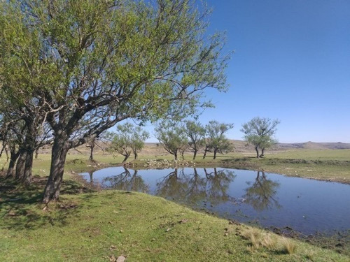 Imagen 8 de 11 de Se Venden 400 Hectareas Ganaderas En Los Gigantes Cordoba