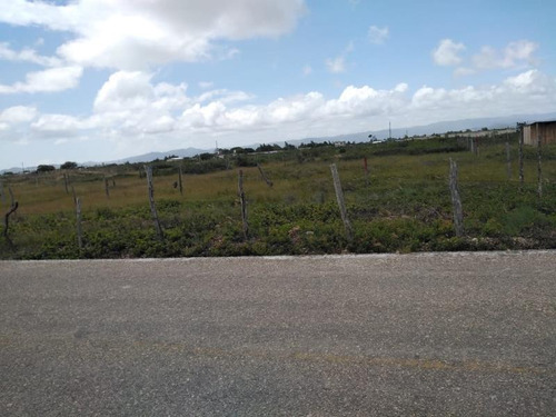 Imagen 6 de 8 de Terreno En Venta San Vicente Buena Vista