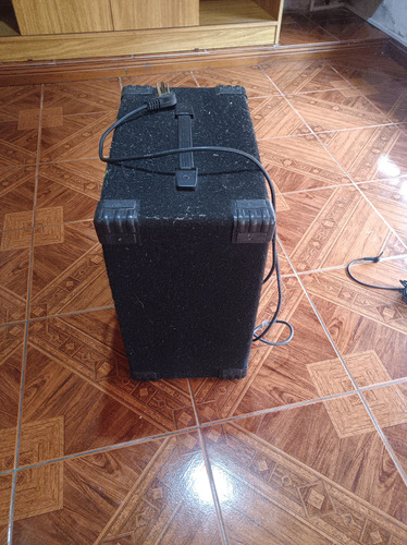 Amplificador Hoxon Bajo Guitarra Organo Negro (Usado)