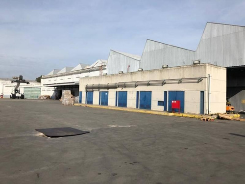 Imagen 7 de 26 de Depósito En Alquiler 15.000 M2 - Barracas
