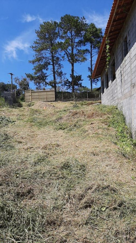 Imagem 9 de 14 de Chácara Para Venda Em Ibiúna, Centro - 242_2-1069196