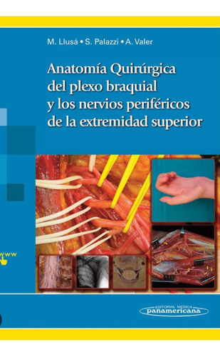 Anatomía Quirúrgica Del Plexo Braquial Y De Los Nervios 