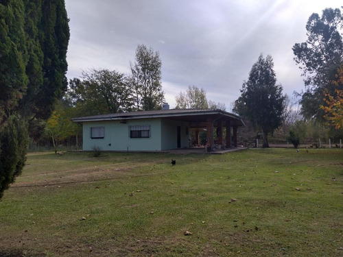 Imagen 4 de 13 de Casa Quinta Con Amplio Lote