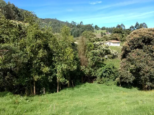 Finca Agricola Y Descanso