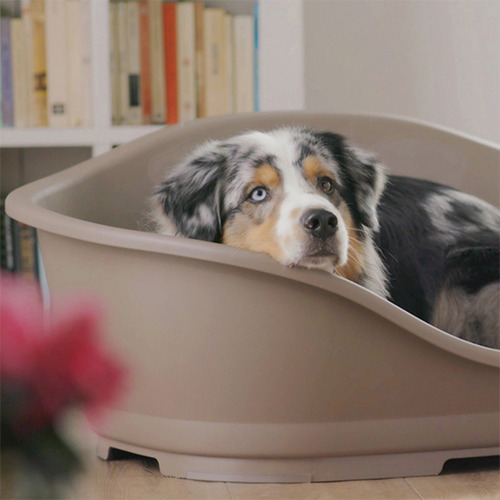 Cama Sleeper Stefanplast Para Perros Y Gatos Medianos Color Tortola