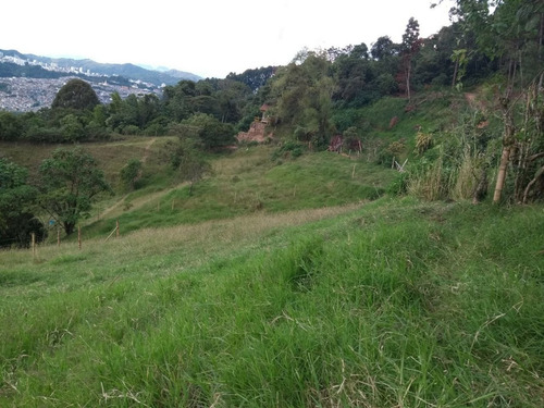 Lote Campestre Villamaría Cod 1289230