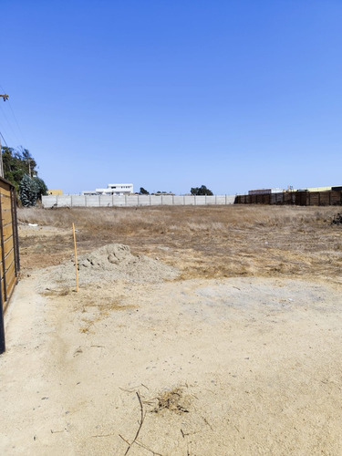 Sitios 800m2 Las Gaviotas Planos Concon