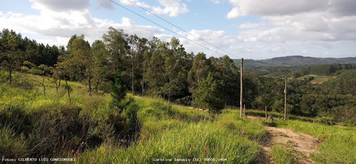 Imagem 15 de 15 de Área Rural Para Venda Em Mariana Pimentel, Linha Do Registro - 1245_1-1842627
