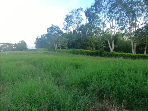 Se Venden Lotes Montenegro Quindío
