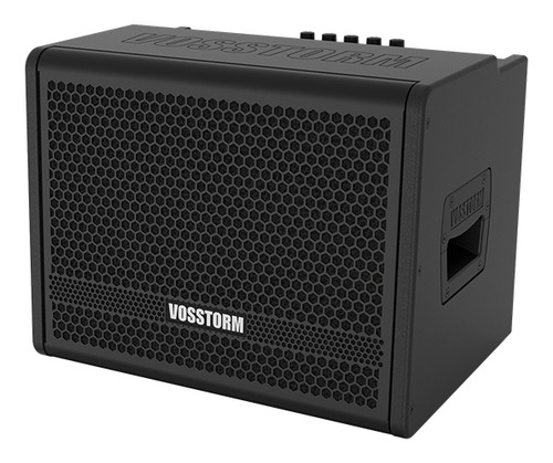 Amplificador Para Baixo 8 Pol 30 W Vosstorm Bs-8