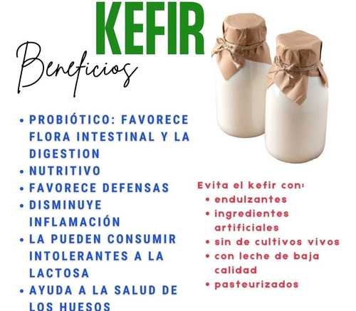 Probióticos Búlgaros Kefir Leche Yoca (Usado)
