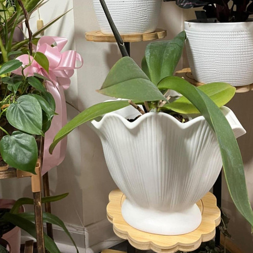 Vase De Cerámica Flowerpot Plant Bof Ornament Para La S