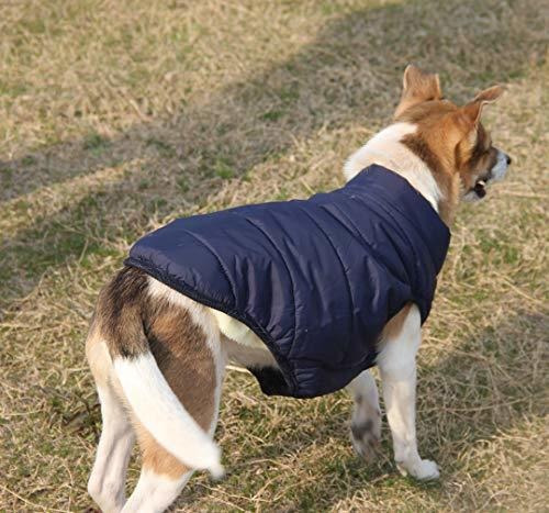 Imagen 8 de 8 de Mascota Perro Capa Acolchada Chaqueta Ropa Chaleco Azul Xl