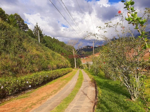Imagem 24 de 27 de Terreno Em Condomínio Com 2.000 M², Em Bonsucesso. - Te00397 - 69360138